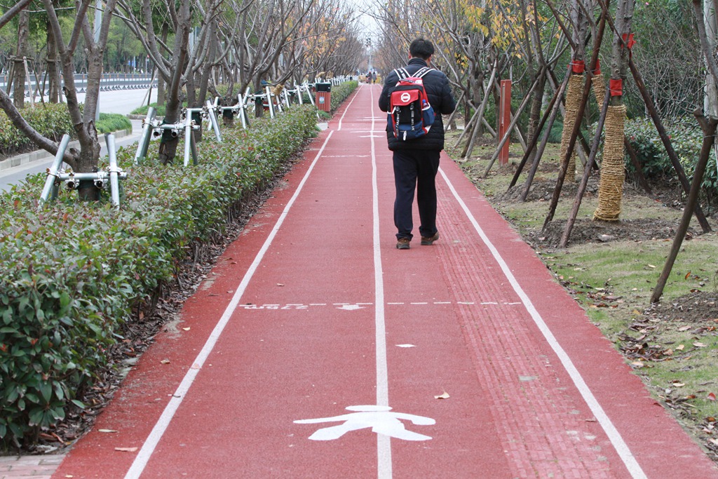 宝山顾村镇顾村公园2号门市民健身步道.JPG