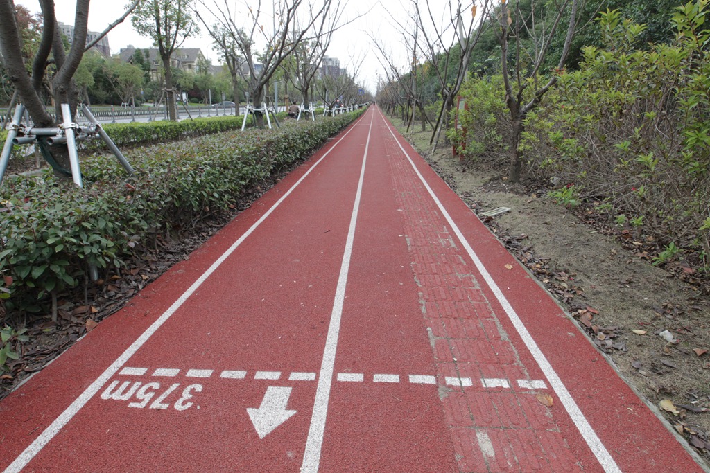 宝山顾村镇顾村公园3号门市民健身步道.JPG