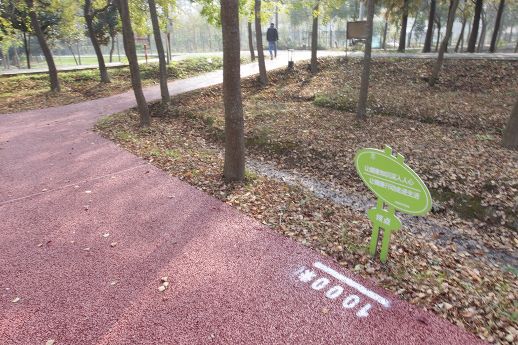 崇明三星镇育德村委市民健身步道.JPG