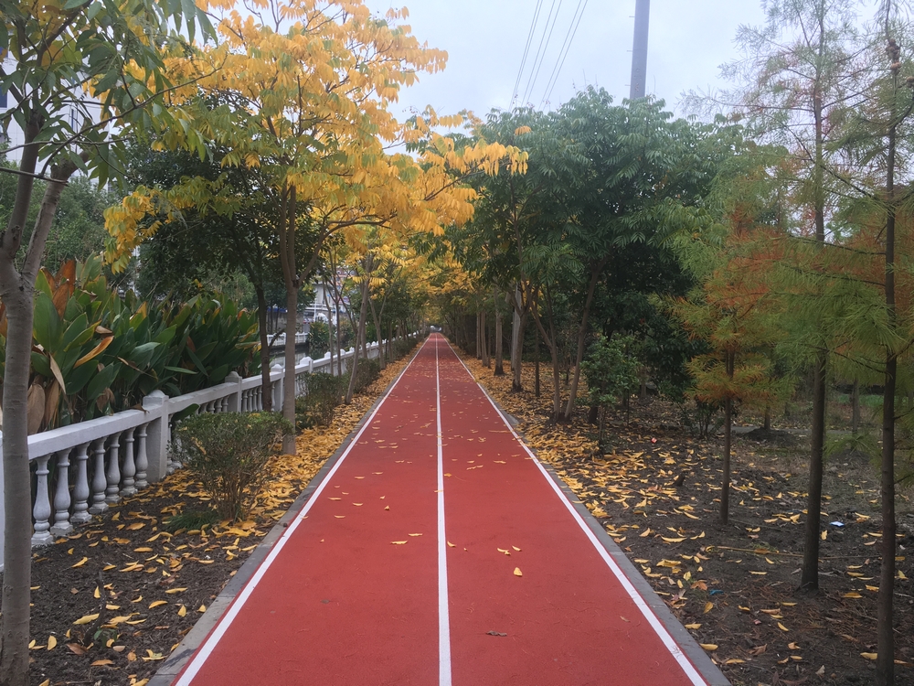 松江区车墩镇祥东小区市民健身步道.jpg