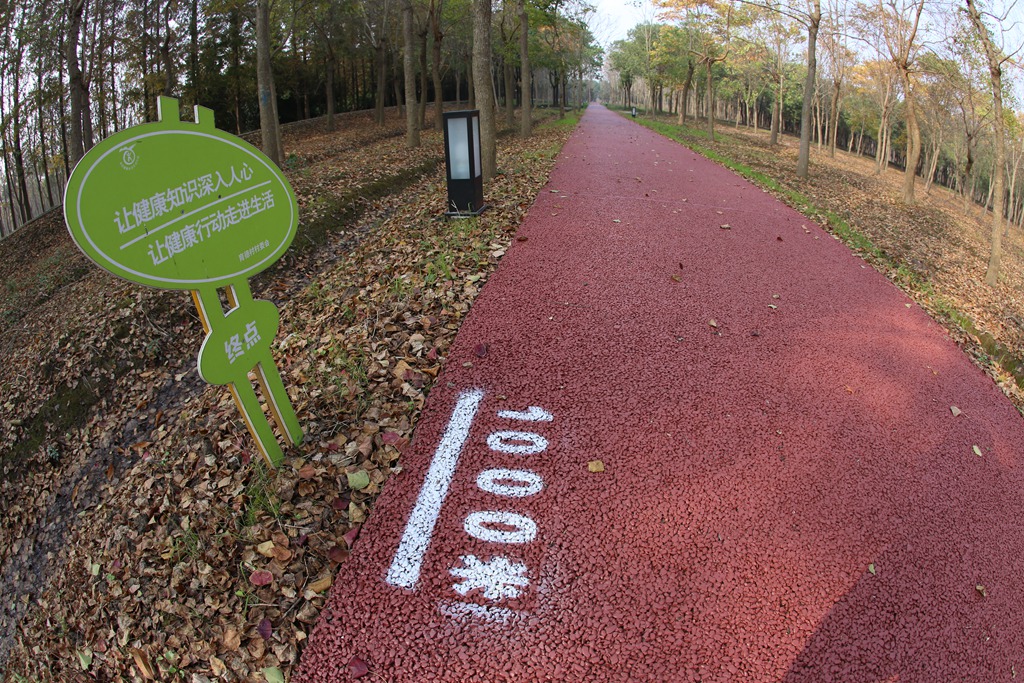 崇明三星镇育德村委市民健身步道.JPG