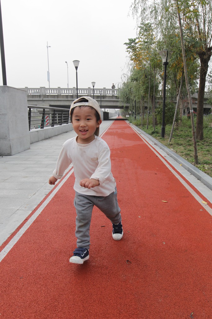 松江洞泾镇滨湖休闲绿地健身步道.JPG