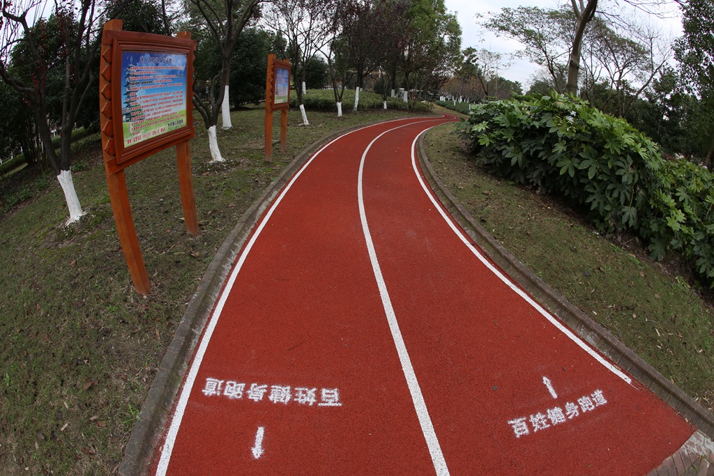 嘉定外冈镇外冈新苑市民健身步道.JPG